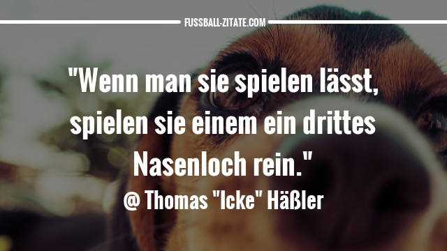 thomas häßler zitate sprüche