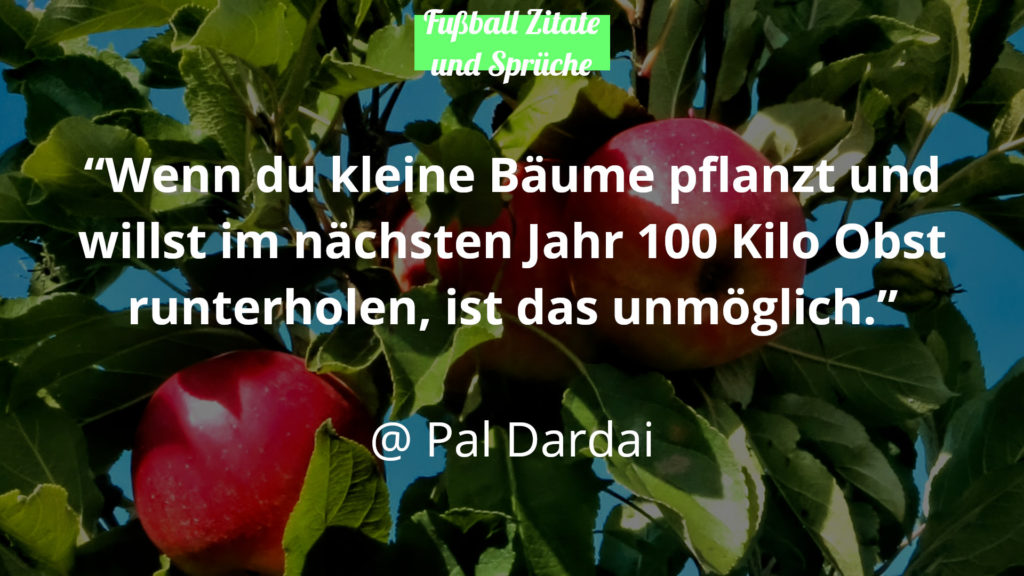 Pal Dardai Fußball Zitate Sprüche Obst